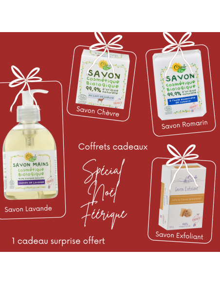 Coffret Cadeau Noël Féérique